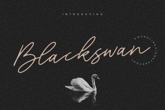 Blackswan: A Handwritten Font for Elegant Web Design