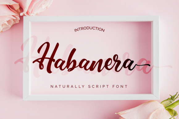 Bring Life to Your Brand with Habanera Font