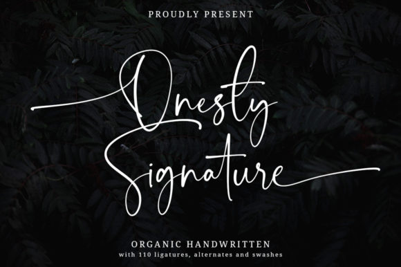 Elevate Your Web Design with Onesty Signature Font