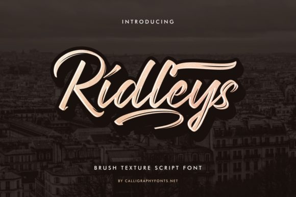 Ridleys: A Brush Script Font for Editorial Charm