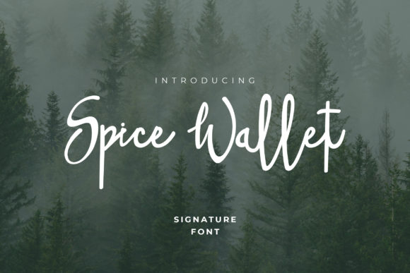 Spice Wallet Font: Elevating Your Digital Marketing Visuals